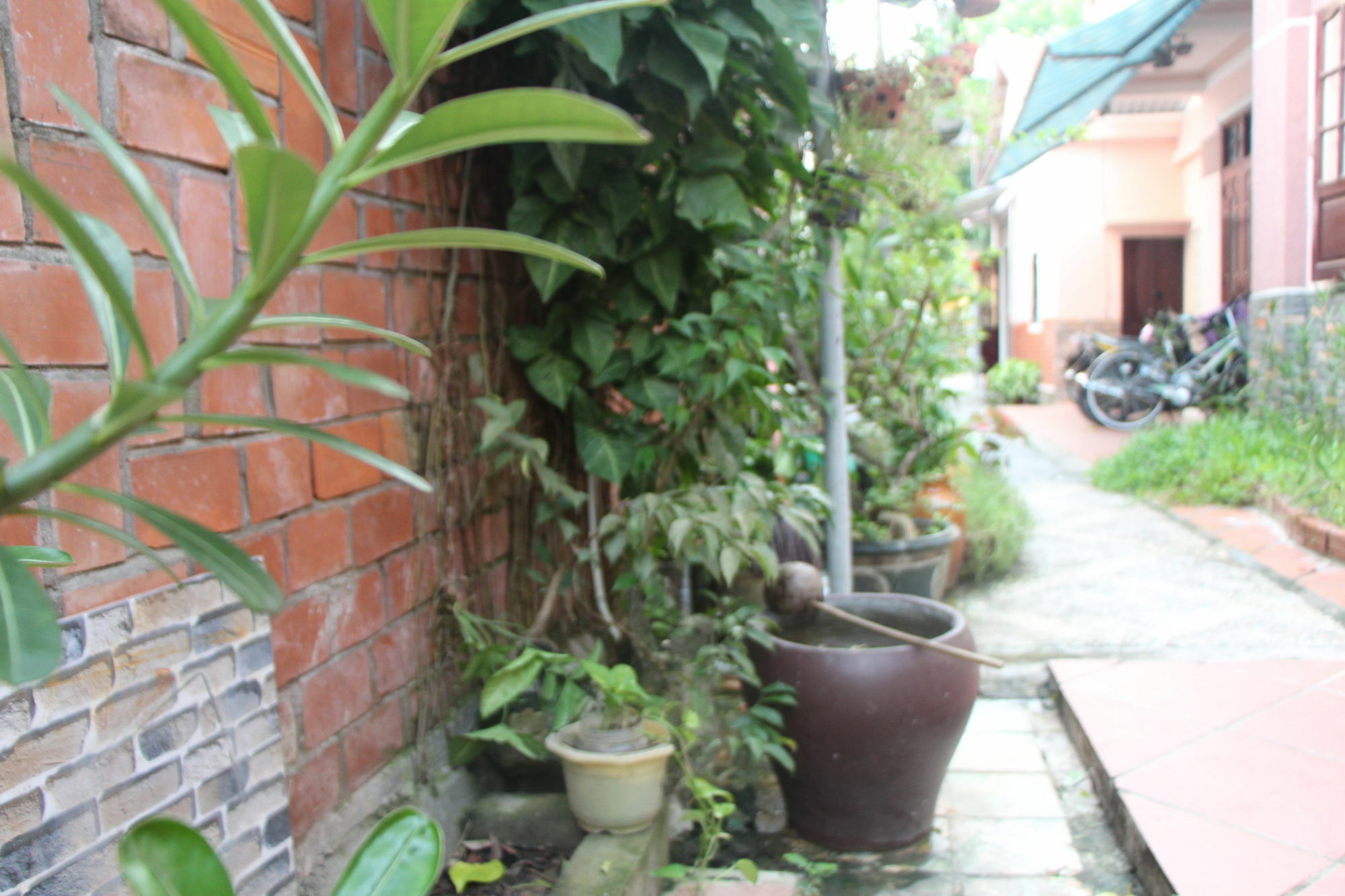 Red Ceramics Homestay Hoi An Bagian luar foto