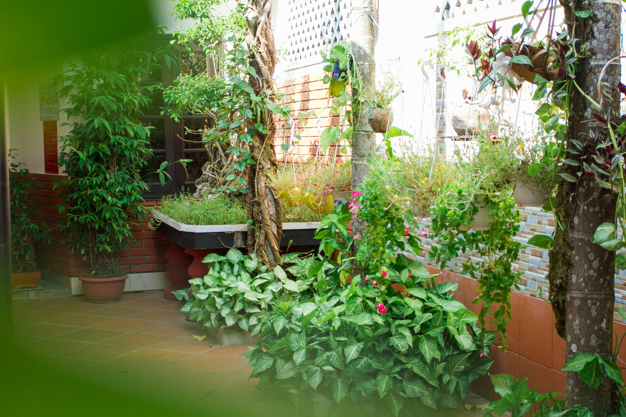 Red Ceramics Homestay Hoi An Bagian luar foto