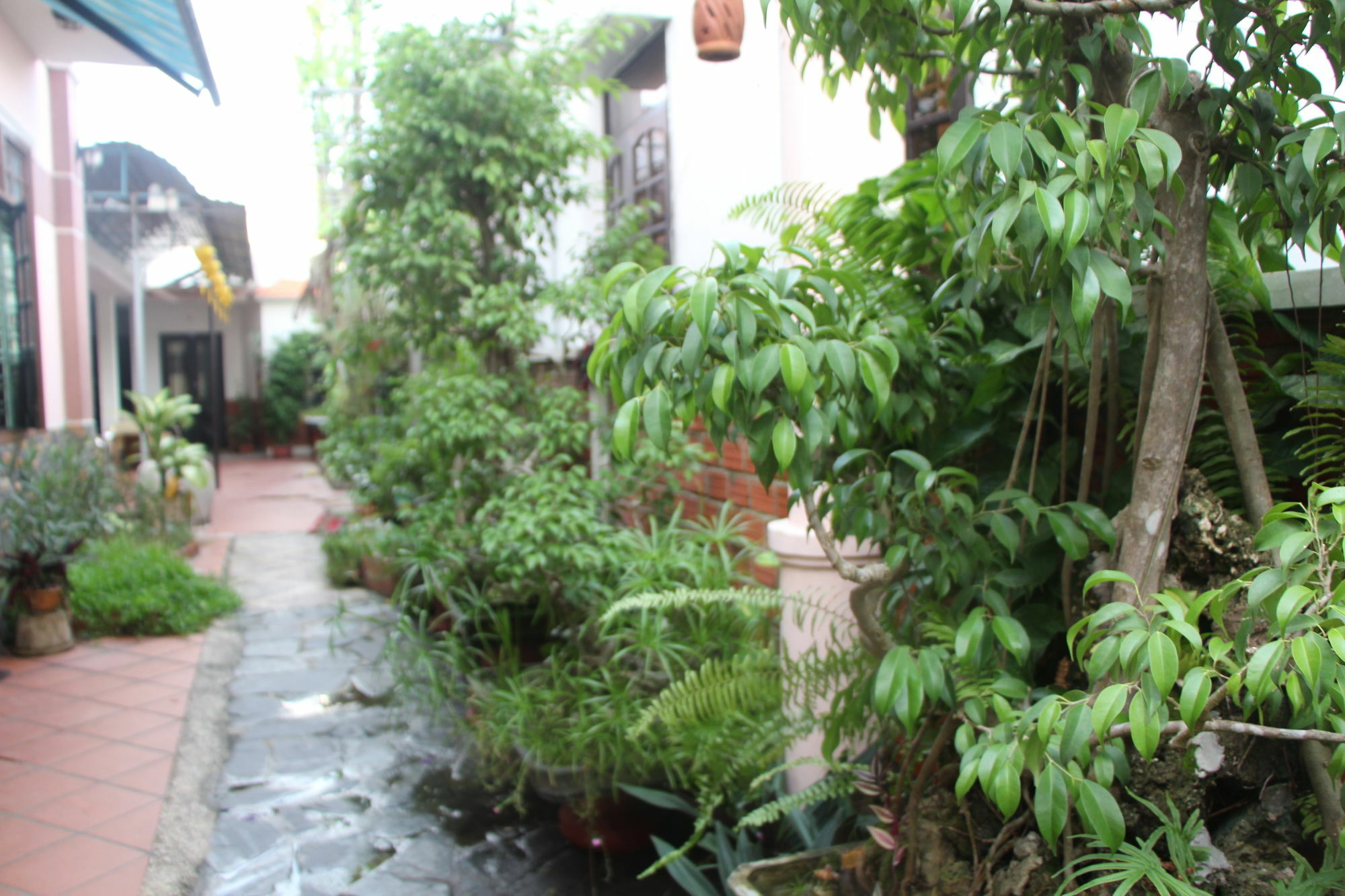 Red Ceramics Homestay Hoi An Bagian luar foto